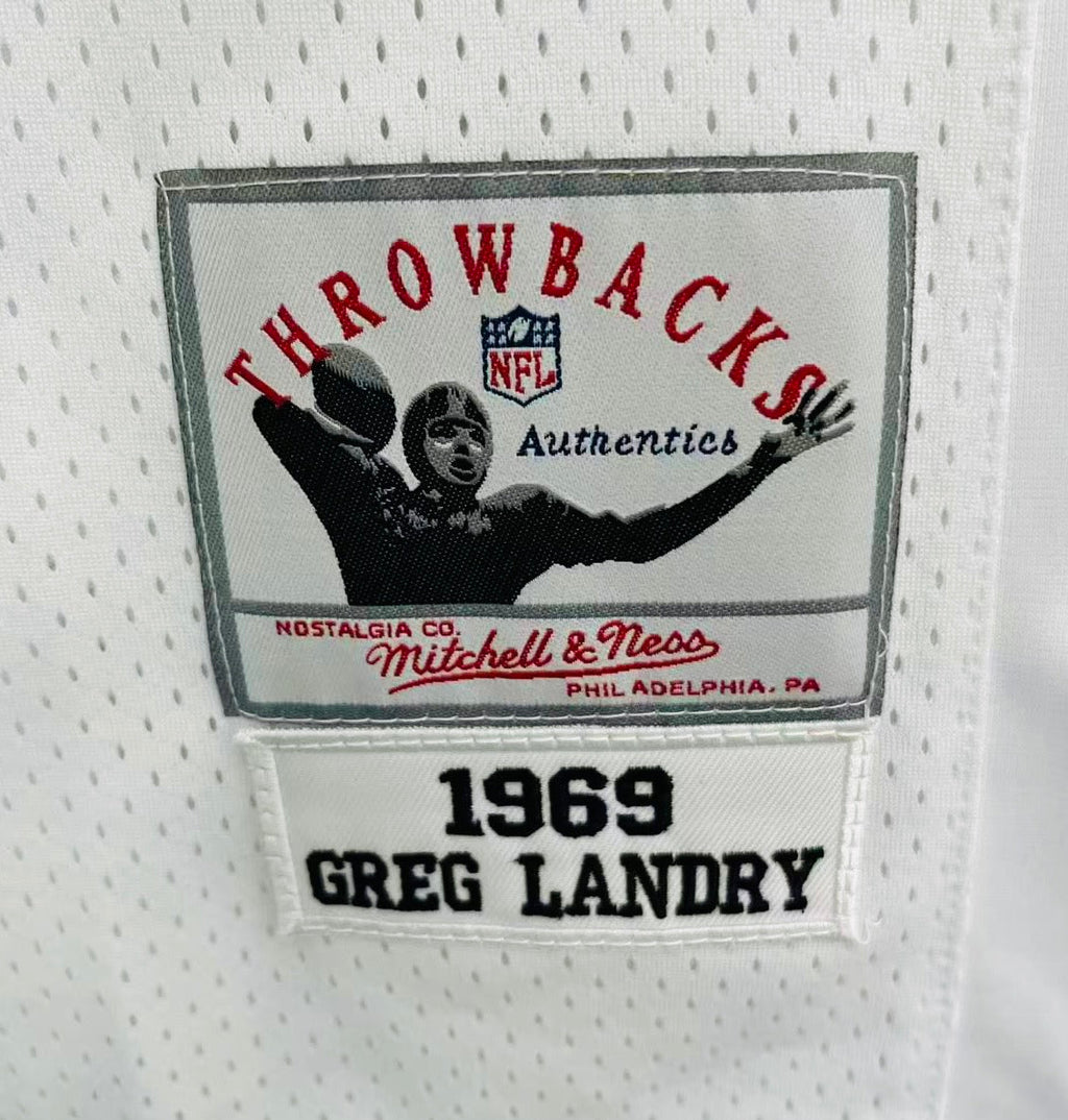 Greg Landry 1969 Detroit Lions NFL Mitchell & Ness Jersey product image 3