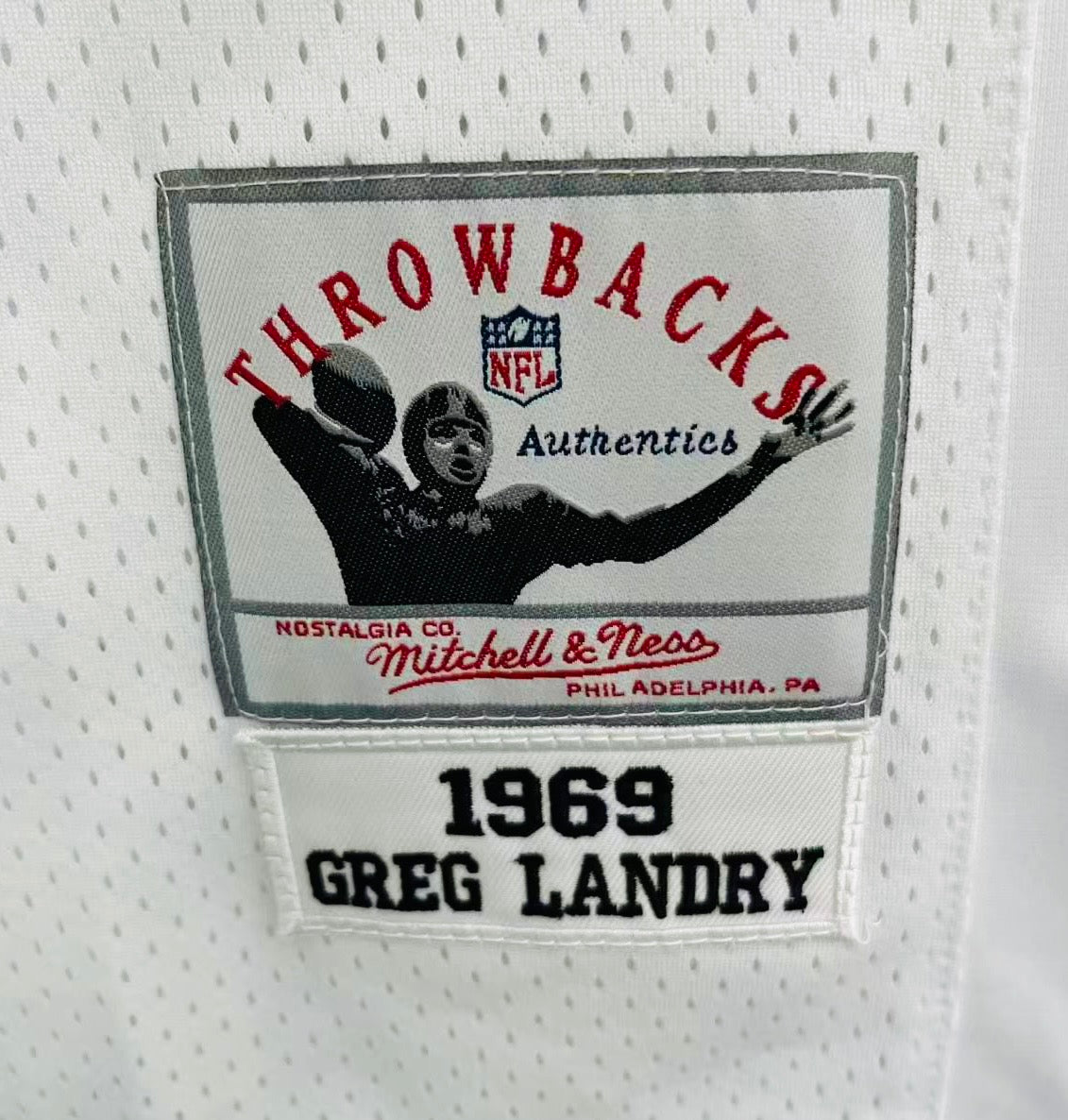 Greg Landry 1969 Detroit Lions NFL Mitchell & Ness Jersey product image 3