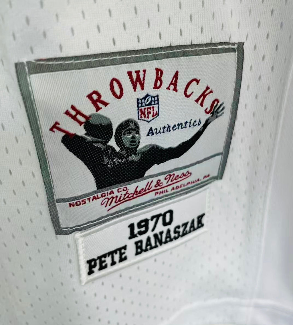 Pete Banaszak 1970 Oakland Raiders Mitchell & Ness Jersey product image 3