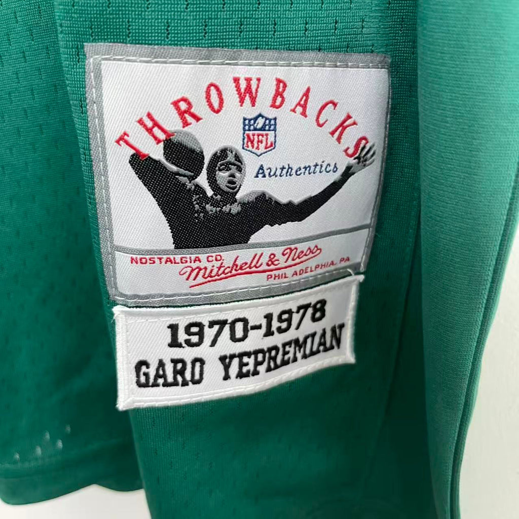 Garo Yepremian Miami Dolphins Official NFL Mitchell & Ness product image 3