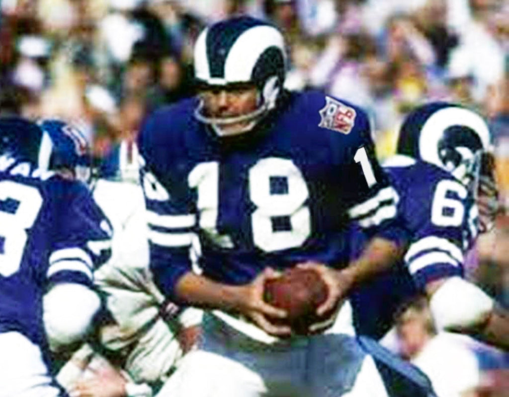 Roman Gabriel 1969 Los Angeles Rams NFL Mitchell & Ness product image 5