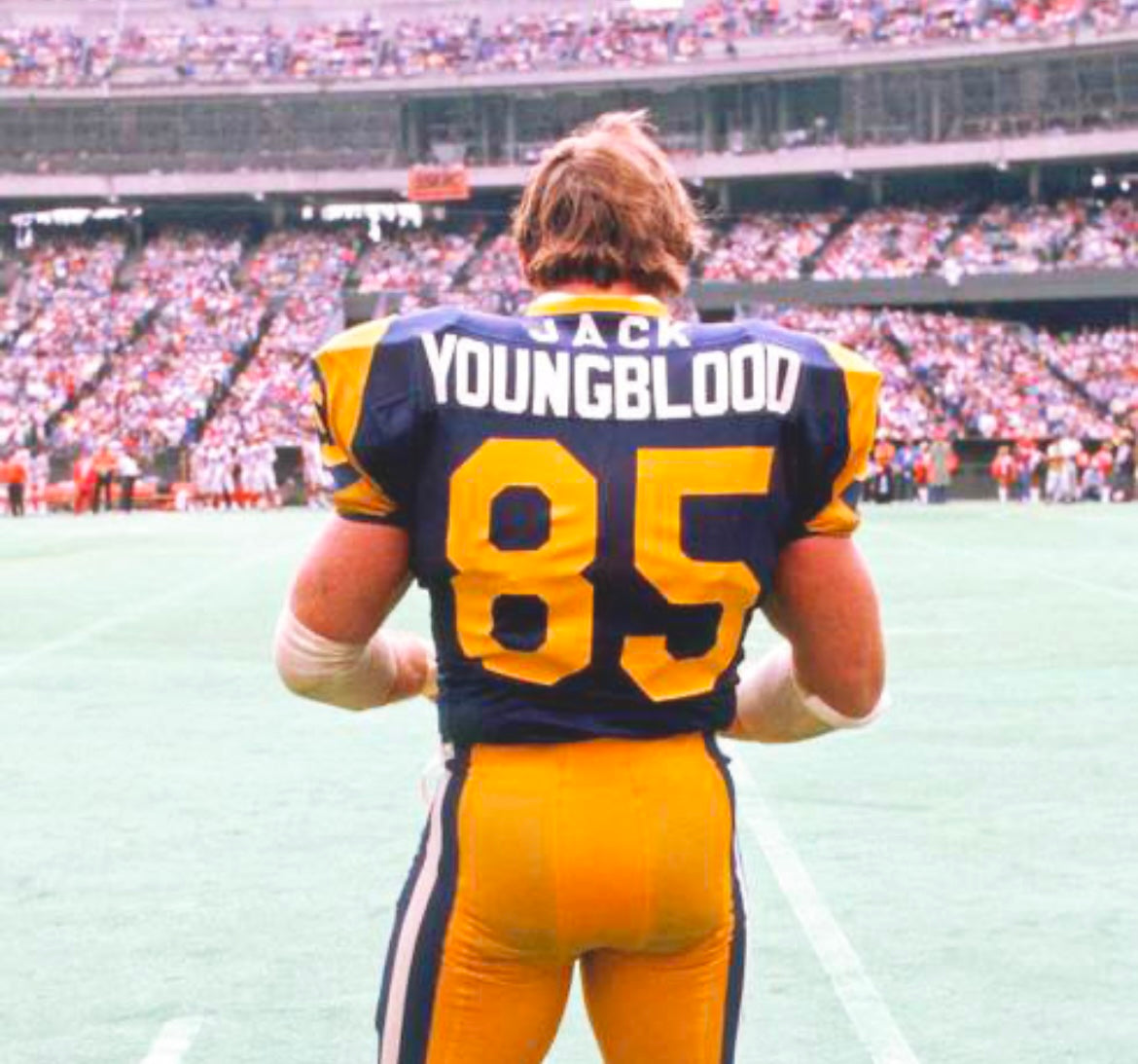 Jack Youngblood Los Angeles Rams NFL Mitchell & Ness Jersey product image 4