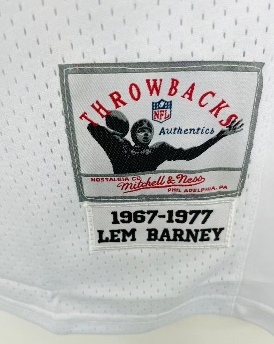 Lem Barney 1969 Detroit Lions NFL Mitchell & Ness Jersey product image 3