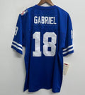 Roman Gabriel 1969 Los Angeles Rams NFL Mitchell & Ness product image 1