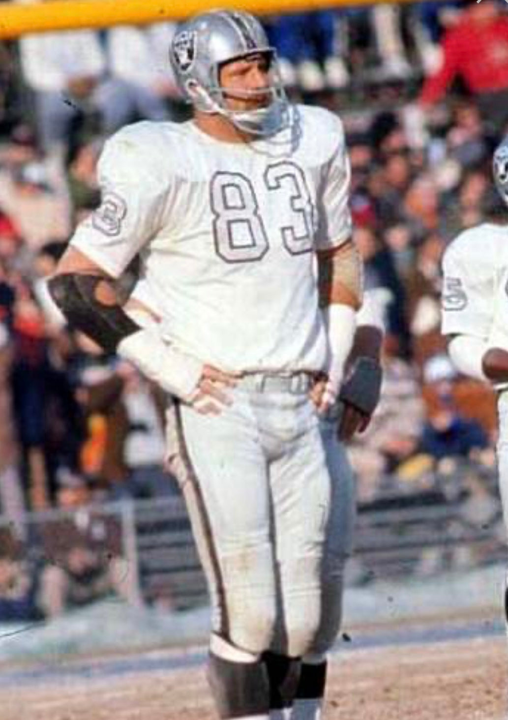 Ben Davidson 1970 Oakland Raiders Mitchell & Ness Jersey product image 3