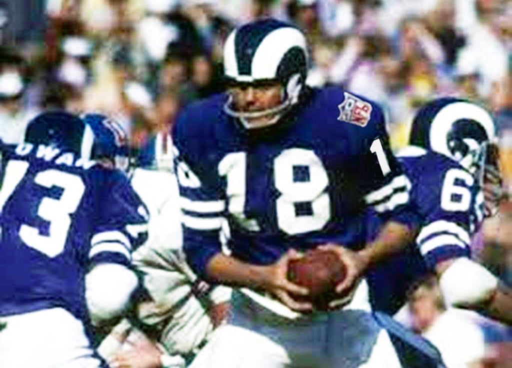 Any name & Number customized Los Angeles Rams 1969 NFL product image 4