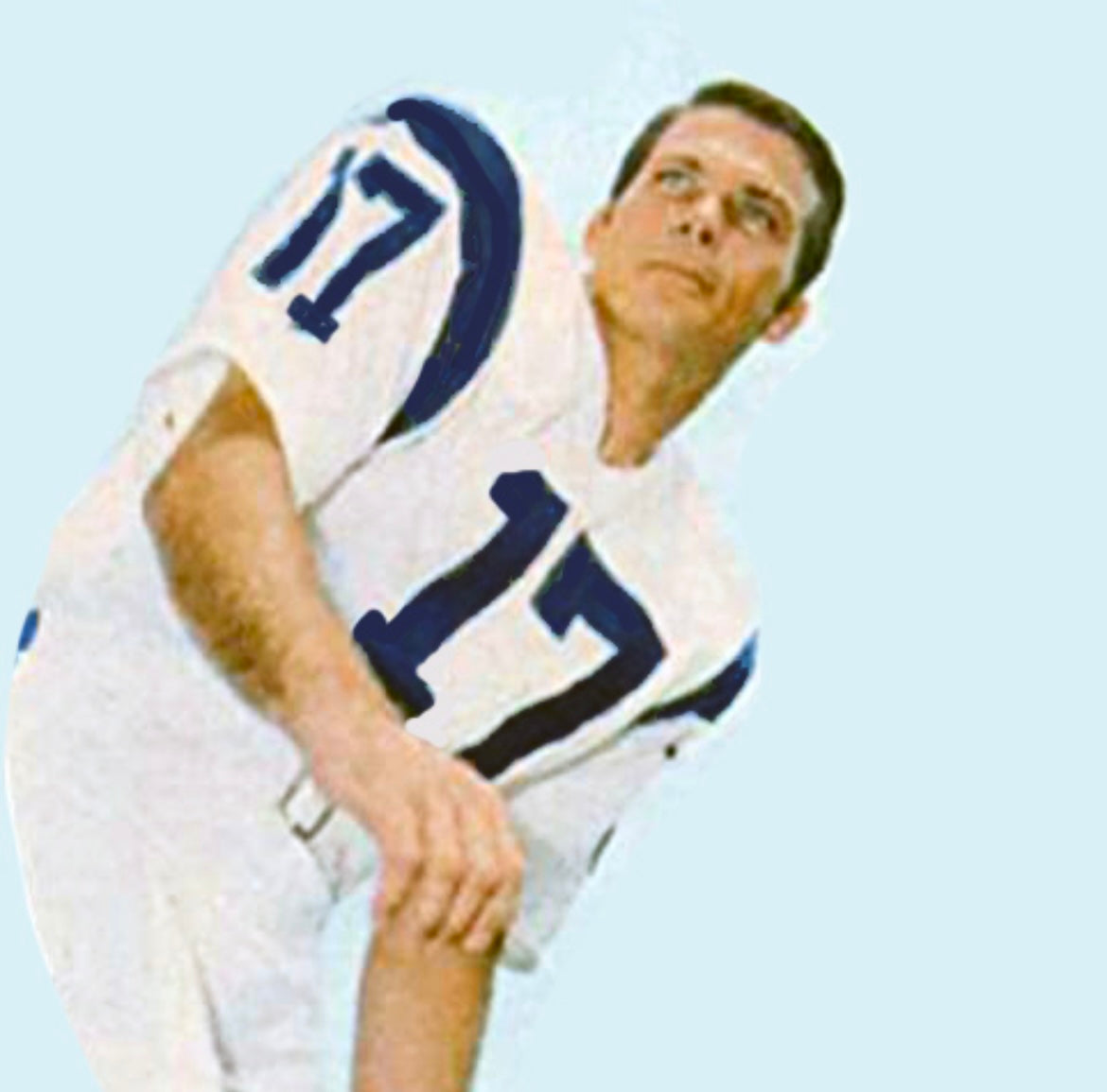 Richie Petitbon 1969 Los Angeles Rams NFL Mitchell & Ness product image 4