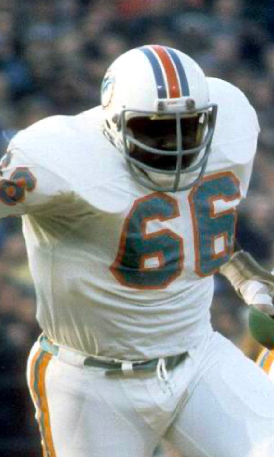 Larry Little Miami Dolphins NFL Mitchell & Ness Jersey product image 3