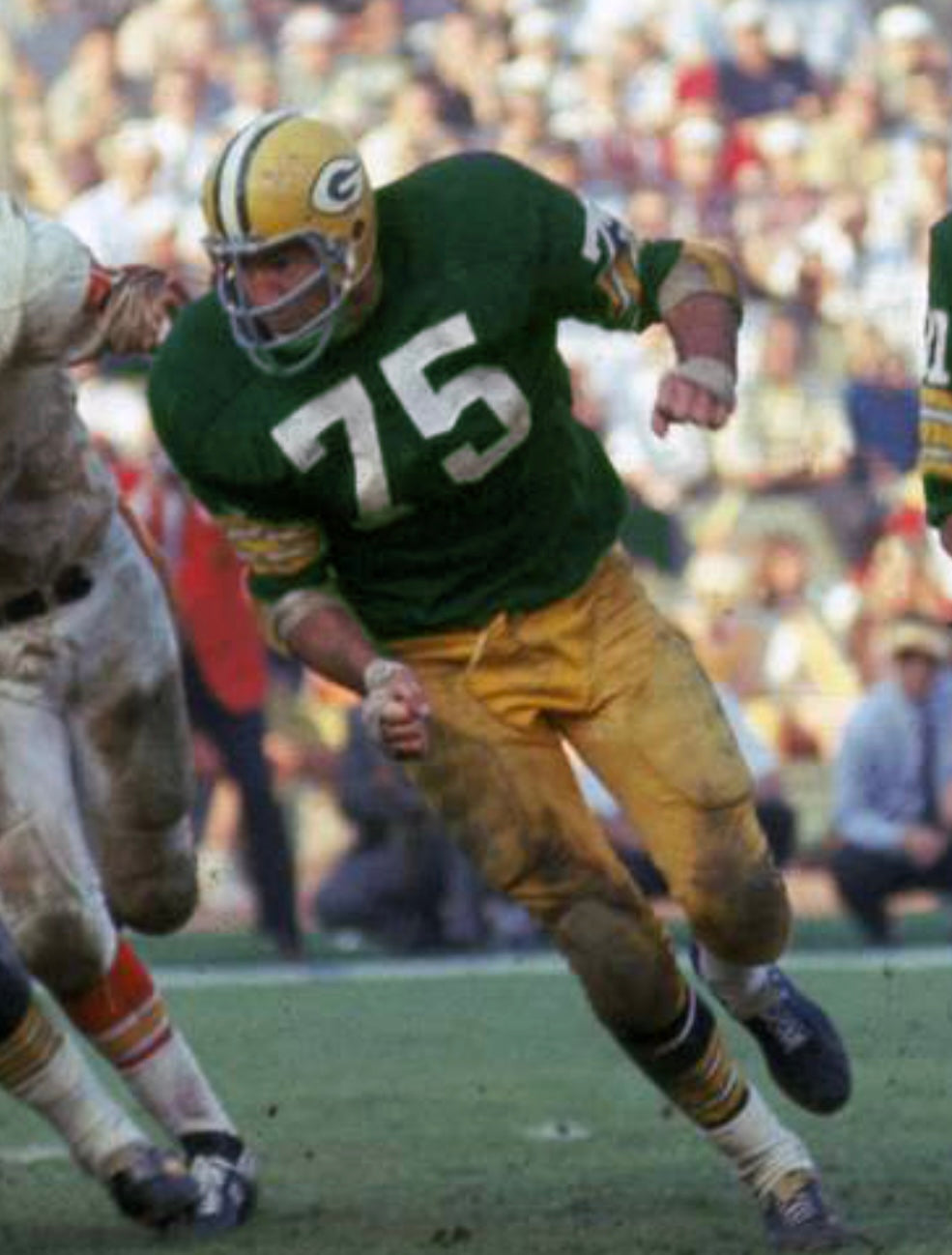 Forrest Gregg 1969 Green Bay Packers NFL Mitchell & Ness product image 5