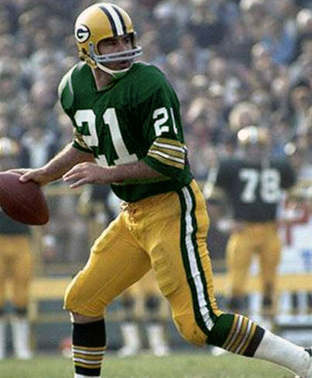 John Hadl Green Bay Packers NFL Mitchell & Ness Jersey product image 3