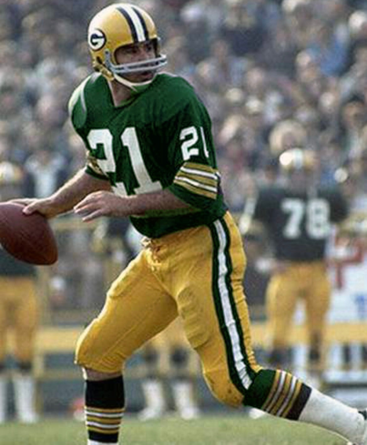 John Hadl Green Bay Packers NFL Mitchell & Ness Jersey product image 3